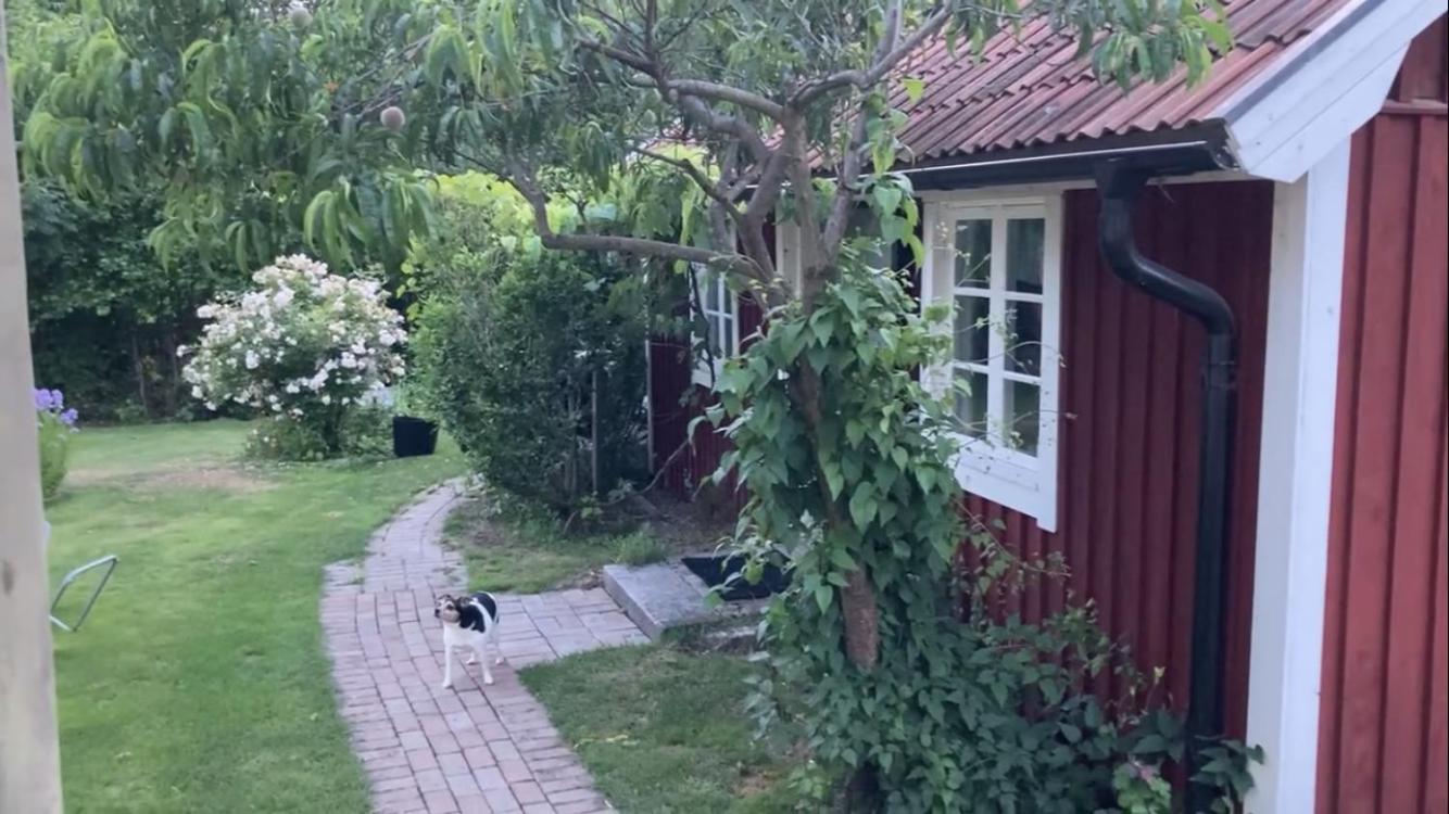 Isans Stuga Broby Eksteriør billede